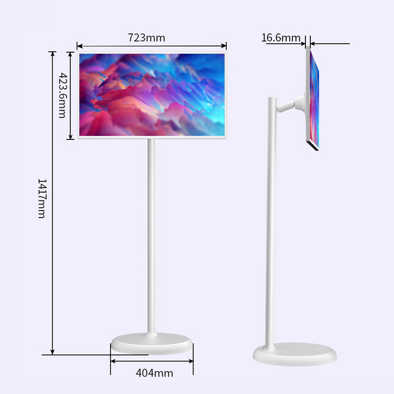 Portable Smart TV on wheels